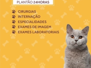 Foto galeria da empresa