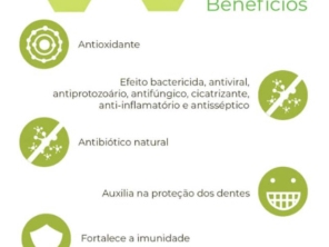Foto de Mil Folhas Farmácia de Manipulação em Marília, SP por Solutudo
