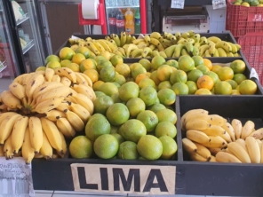 Foto galeria da empresa