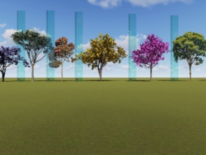 Projeto de paisagismo público - Larissa Andrecciolli arquitetura paisagistica