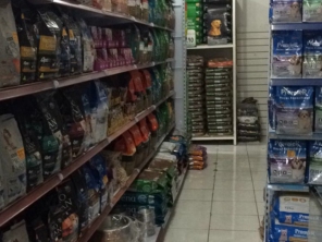 Foto galeria da empresa