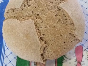 Foto de Oficina de Pães em Assis, SP por Solutudo