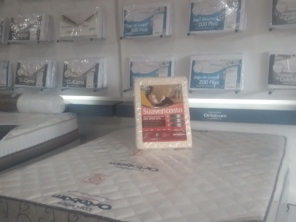 Foto galeria da empresa