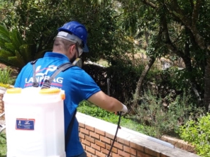 Foto de Lanprag Controle De Pragas Urbanas em Barueri/Alphaville e Região em Barueri, SP por Solutudo