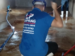 Foto de Lanprag Controle De Pragas Urbanas em Barueri/Alphaville e Região em Barueri, SP por Solutudo