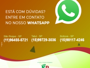 Foto galeria da empresa