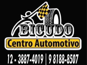 Foto de Bicudo Centro Automotivo em Caraguatatuba, SP por Solutudo