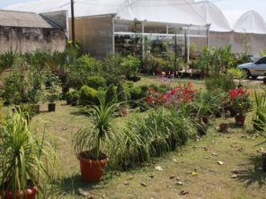 Foto de Botucatu Garden em Botucatu, SP por Solutudo