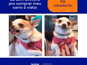 Foto de Consórcio Lyscar em Aracaju, SE por Solutudo