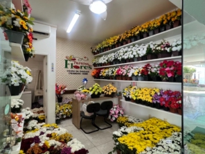 Foto de Cemitério Parque Colina da Saudade em Aracaju, SE por Solutudo