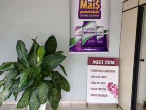 Foto de Agro Oliveira em Assis, SP por Solutudo