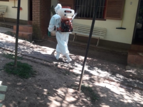 Foto de Bareta Controle de Pragas em Itu, SP por Solutudo