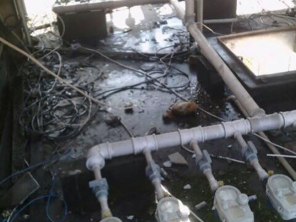 Foto galeria da empresa