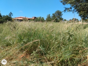 Foto de M.M Jardinagem e Reparos em Botucatu, SP por Solutudo