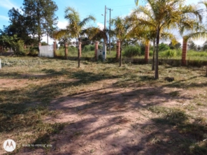 Foto de M.M Jardinagem e Reparos em Botucatu, SP por Solutudo