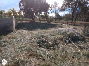 Foto de M.M Jardinagem e Reparos em Botucatu, SP por Solutudo
