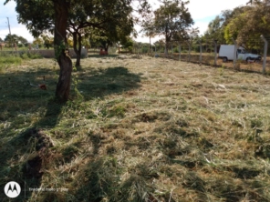 Foto de M.M Jardinagem e Reparos em Botucatu, SP por Solutudo