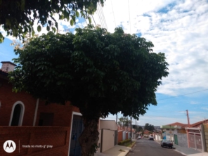 Foto de M.M Jardinagem e Reparos em Botucatu, SP por Solutudo