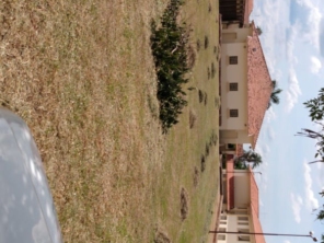 Foto de M.M Jardinagem e Reparos em Botucatu, SP por Solutudo