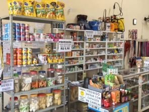 Foto galeria da empresa