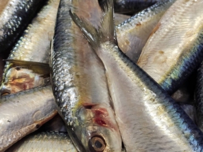 Foto de Higo Peixaria em Botucatu, SP por Solutudo