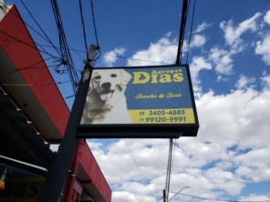 Foto galeria da empresa