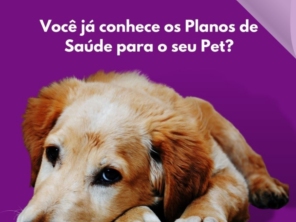 Foto de VSX Seguros em Aracaju, SE por Solutudo
