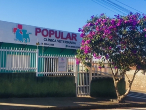 Foto de Clínica Veterinária Popular em Lençóis Paulista, SP por Solutudo