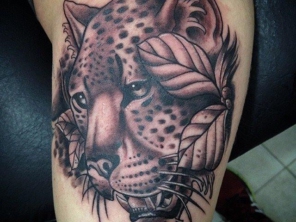 Foto de Inked Nation em Aracaju, SE por Solutudo