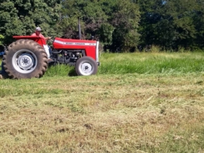 Foto galeria da empresa