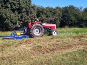 Foto galeria da empresa