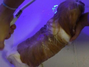 Oh my dog