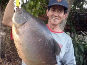Foto de Pesqueiro Tanaka em Marília, SP por Solutudo