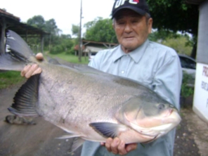 Foto de Pesqueiro Tanaka em Marília, SP por Solutudo