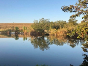 Foto de Pesqueiro Tanaka em Marília, SP por Solutudo
