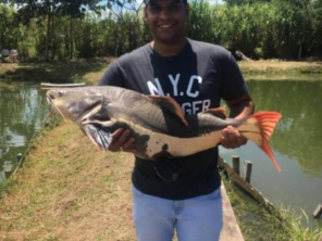 Foto de Pesqueiro Tanaka em Marília, SP por Solutudo