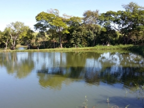 Foto de Pesqueiro Tanaka em Marília, SP por Solutudo