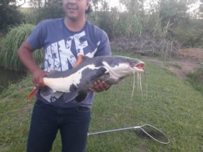 Foto de Pesqueiro Tanaka em Marília, SP por Solutudo