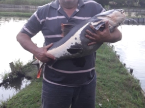 Foto de Pesqueiro Tanaka em Marília, SP por Solutudo