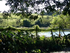 Foto de Pesqueiro Tanaka em Marília, SP por Solutudo