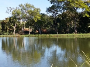 Foto de Pesqueiro Tanaka em Marília, SP por Solutudo