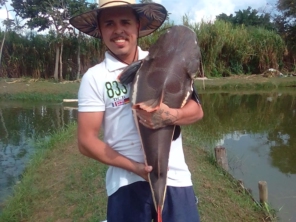 Foto de Pesqueiro Tanaka em Marília, SP por Solutudo