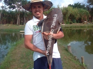 Foto de Pesqueiro Tanaka em Marília, SP por Solutudo
