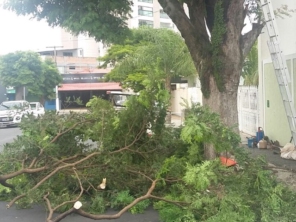 Foto de Tiago Jardinagem em Marília, SP por Solutudo