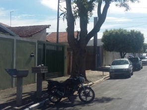 Foto de Tiago Jardinagem em Marília, SP por Solutudo