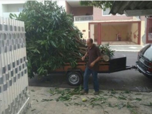 Foto galeria da empresa