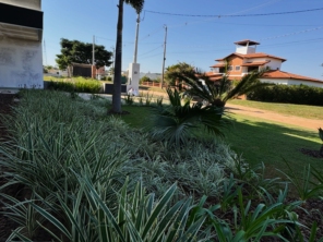 Foto de Semear Paisagismo e Jardins em Botucatu, SP por Solutudo
