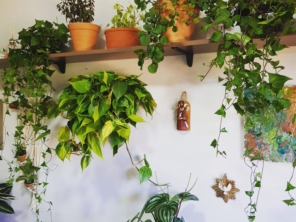 Foto de Semear Paisagismo e Jardins em Botucatu, SP por Solutudo