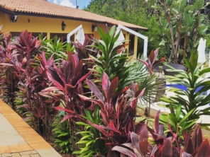 Foto de Semear Paisagismo e Jardins em Botucatu, SP por Solutudo