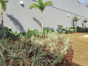 Foto de Semear Paisagismo e Jardins em Botucatu, SP por Solutudo